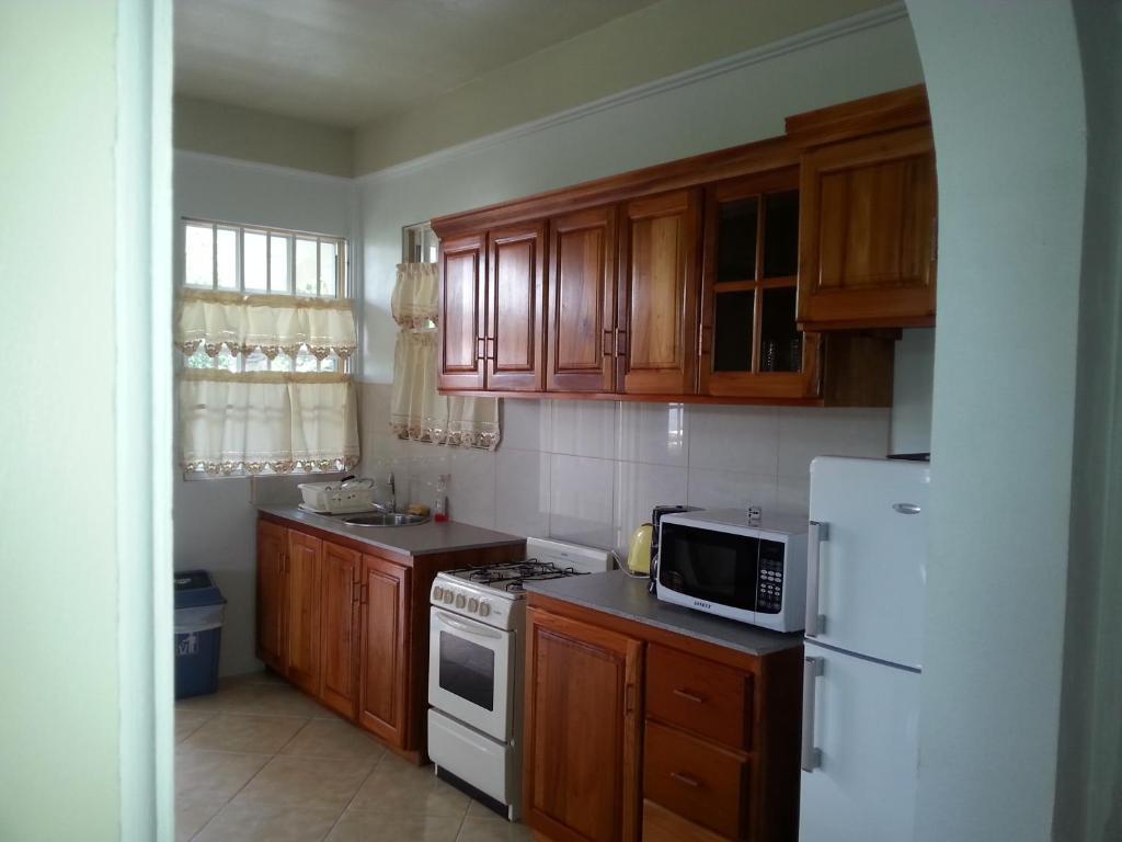 Corosol Apartments Roseau Extérieur photo